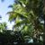 Jennifer Ganser's profile image
