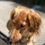 Ann Michele Sando Carlson's profile image