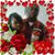 Powell Ta'Nisha's profile image