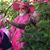 Tom Whitler-Zendejas's profile image