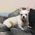 Dorothy Mcdonald Hall's profile image