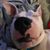 Bryan Lambert's profile image