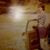 Karen Ash White's profile image