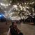 Lupis Esme Ivan's profile image