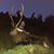 John Pikop's profile image