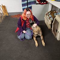 Violet Smith's profile image