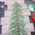 Dianne Fingalsen Christiansen's profile image