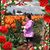Sokteang Heng's profile image