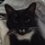 Michele Killen's profile image