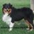 Laura Lynn Perry's profile image