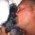 Bobby Sebesta's profile image