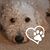 Shirley Kelley's profile image