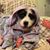 Kimberly Holt Stumpf's profile image