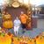 David N Jennifer Cole's profile image