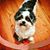 Bill Disbennett's profile image