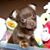 David Bussell's profile image