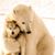 Wendy Wamser's profile image