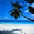 Donna Henderson's profile image