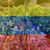 Rosana Gomez's profile image