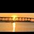 Michelle Dottolo's profile image