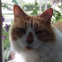 Jackie Weber's profile image