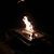 Beth Cotton Vereb's profile image