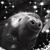 Michael W Kelley's profile image