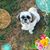 Ann Balog Mongenel's profile image