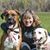 Phee Heideman's profile image