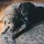 Mary Ellen Jobczynski's profile image