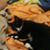 James Blank's profile image