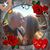 Don Parkes's profile image