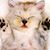 Tati Alves's profile image