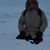 Mile Gregor Cendo's profile image