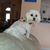 Janet Mentone Zerillo's profile image