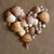 Susan Clauer's profile image
