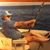 Mindy Cook's profile image
