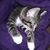 Sharon Long's profile image