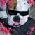 Ana Hibner's profile image