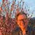 Patrick Smith's profile image