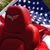 Dave Dahl's profile image