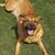 Philip Adams's profile image