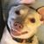 Andrew Serrano's profile image