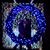 Catrina Hecht's profile image