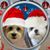 Diane Di Salvo's profile image