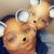 BlessedBriyaka Callion's profile image