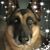 Trish Murphy's profile image