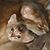 Lisa-Maria Padilla's profile image