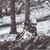 Christian Medwid's profile image