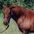 Jaymie Starr's profile image